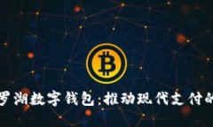 探索罗湖数字钱包：推动现代支付的未来