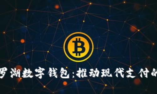 探索罗湖数字钱包：推动现代支付的未来