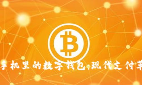 全面解析手机里的数字钱包：现代支付革命的未来