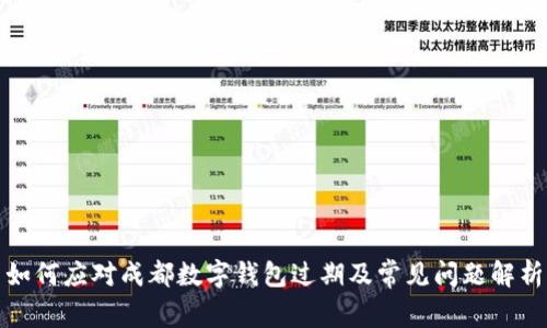 如何应对成都数字钱包过期及常见问题解析