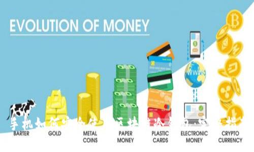 手机如何安全使用区块链冷钱包：完整指南