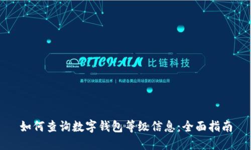 如何查询数字钱包等级信息：全面指南