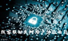 数字钱包的在线客服缺失对用户体验的影响与解