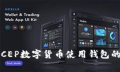 全面解析：DCEP数字货币使用钱包的选择与应用
