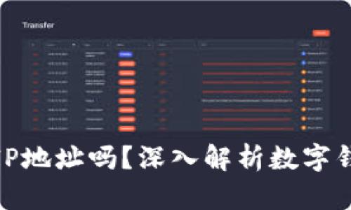 数字钱包能查到IP地址吗？深入解析数字钱包的隐私安全性