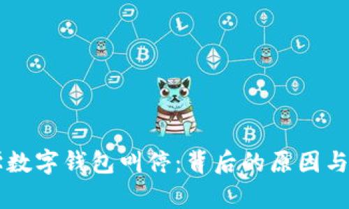 清华大学数字钱包叫停：背后的原因与未来展望